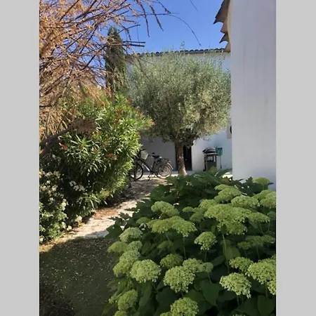 Ile De Re - Sylvabelle * La Flotte