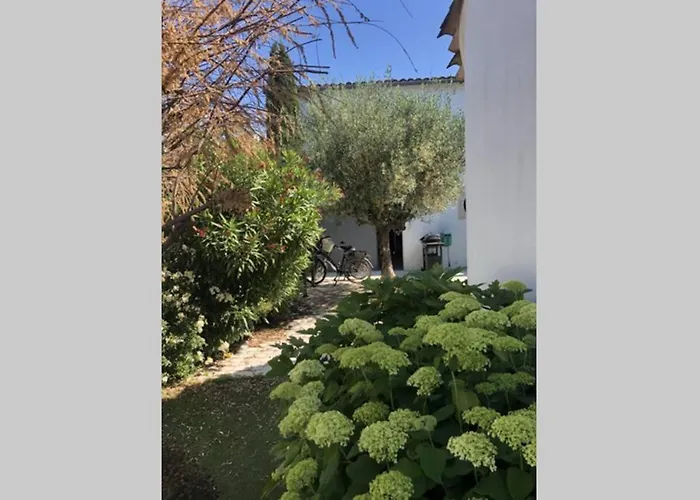 Ile De Ré - Sylvabelle * La Flotte